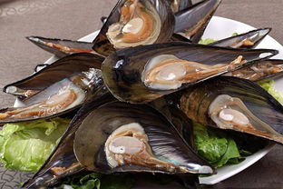 乐从知名酒楼海鲜盛宴来袭 濑尿虾19元/斤起，更有长脚蟹惊喜相赠